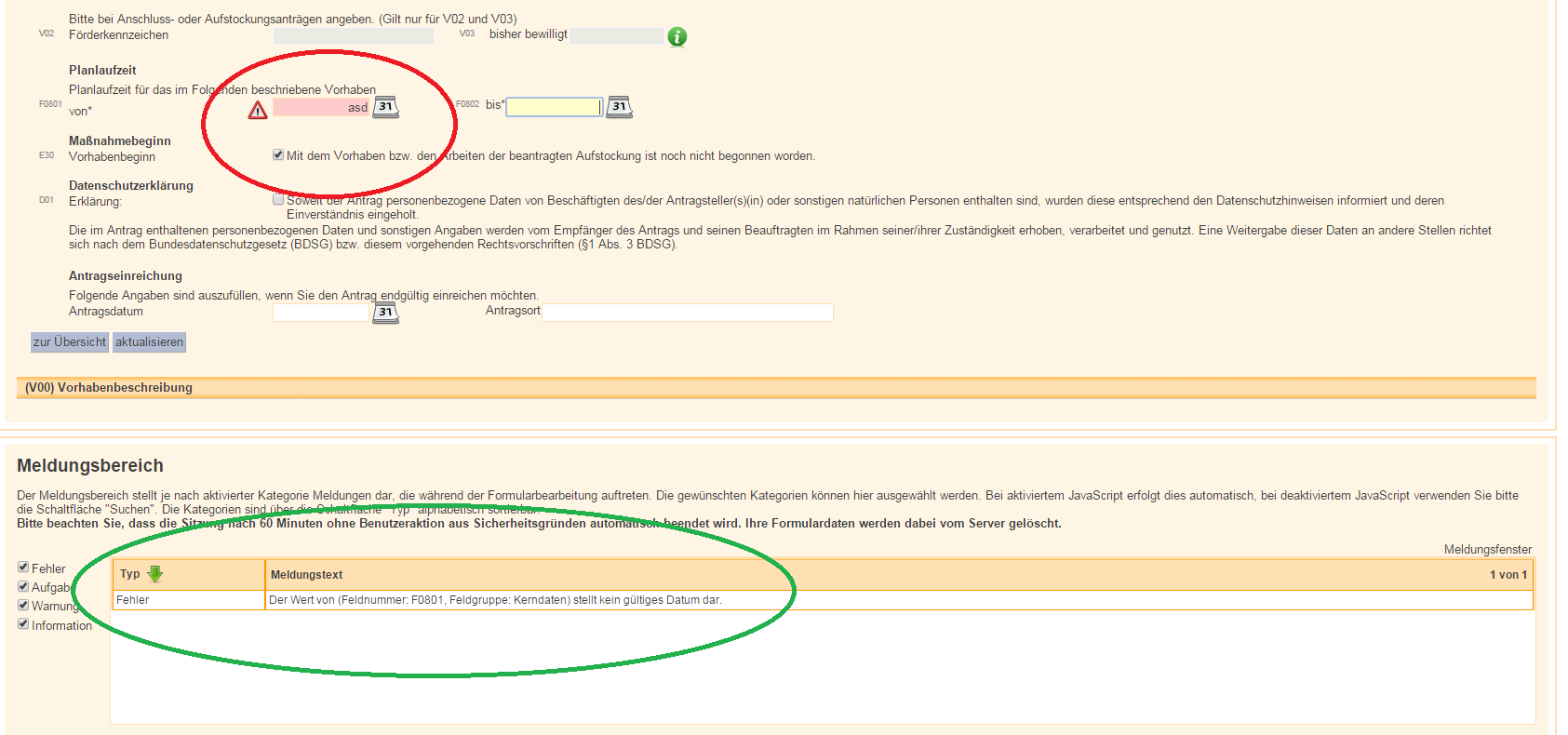 Screenshot eines Formulars mit fehlerhafter Eingabe